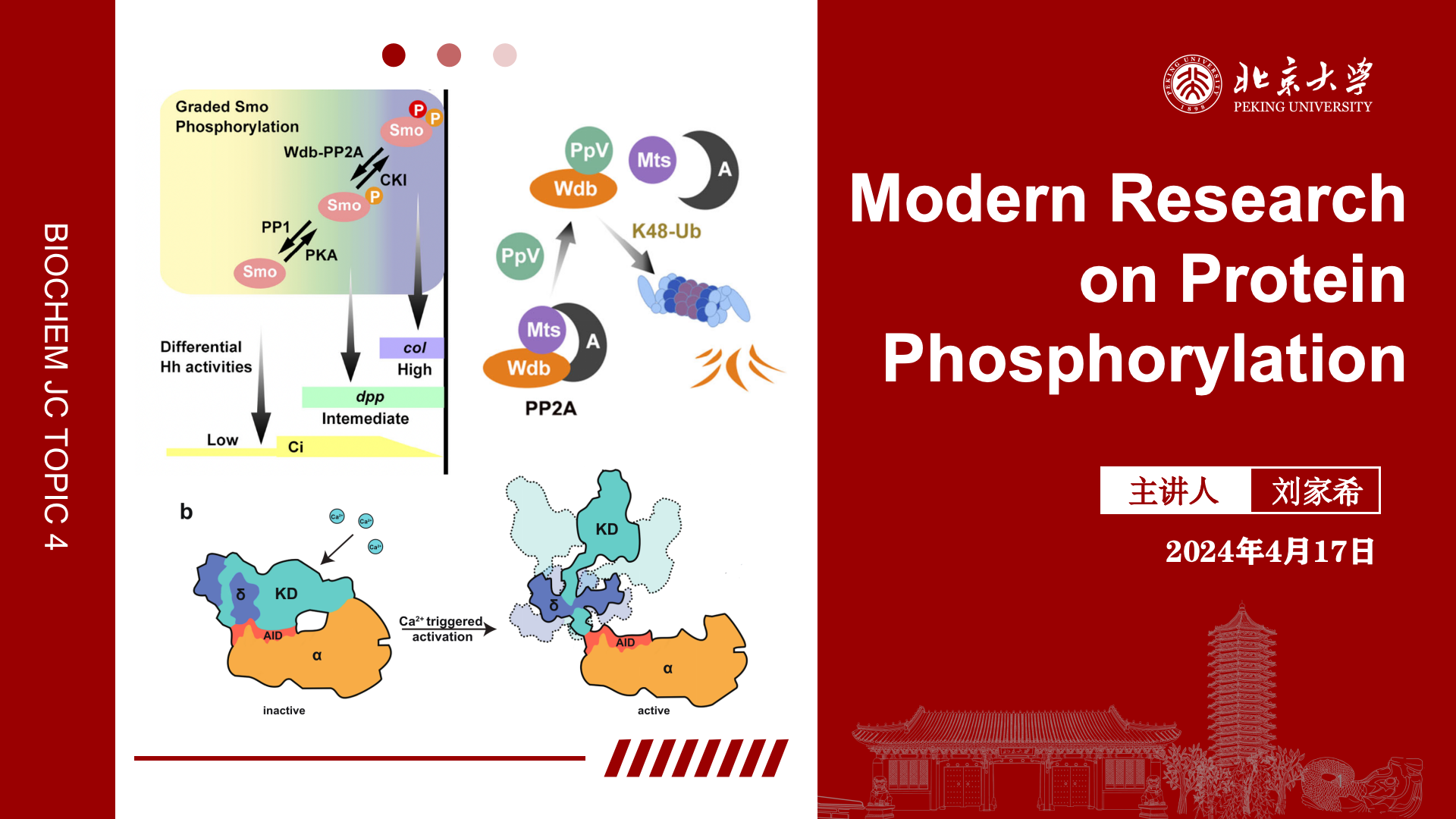 Modern Research on Protein Phosphorylation PDF preview