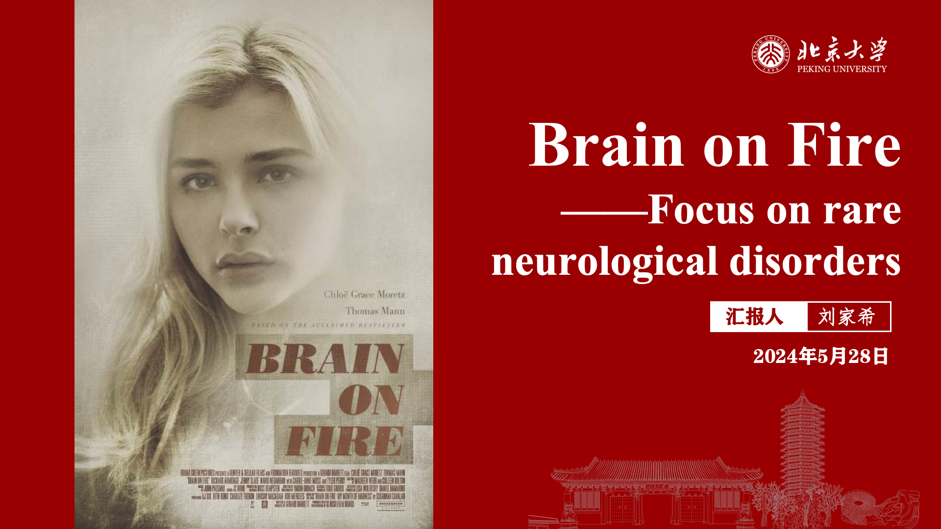 Brain on Fire: Focus on Rare Neurological Disorders PDF preview