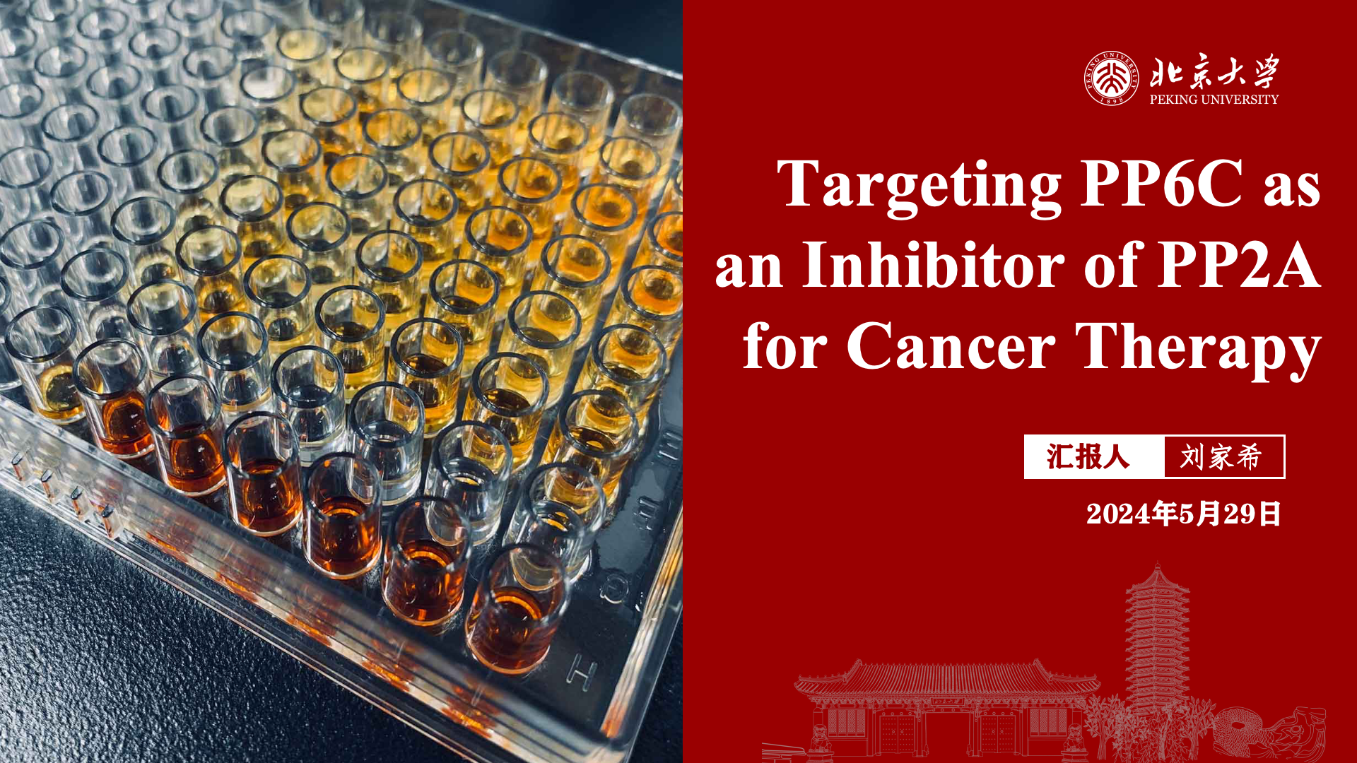 Targeting PP6C as an Inhibitor of PP2A for Cancer Therapy PDF preview