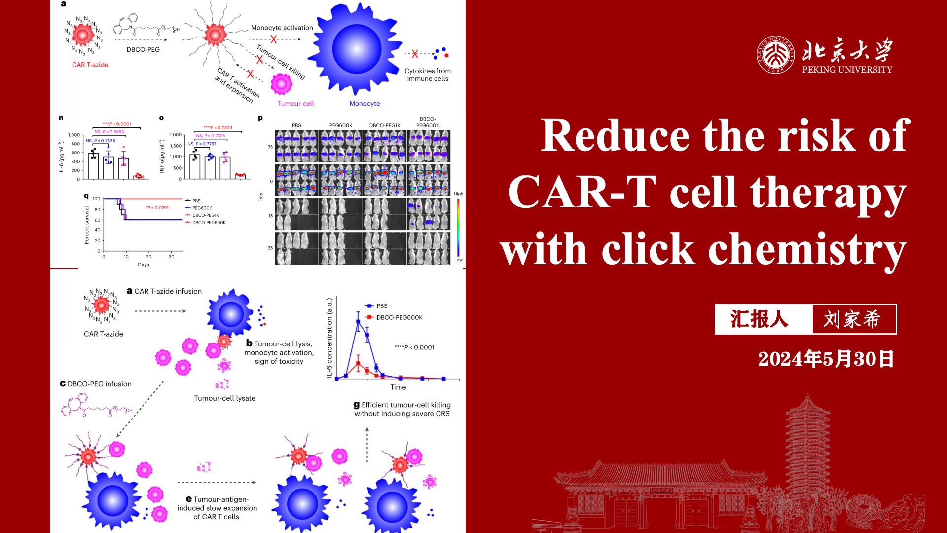 Reduce the risk of CAR-T cell therapy with click chemistry PDF preview