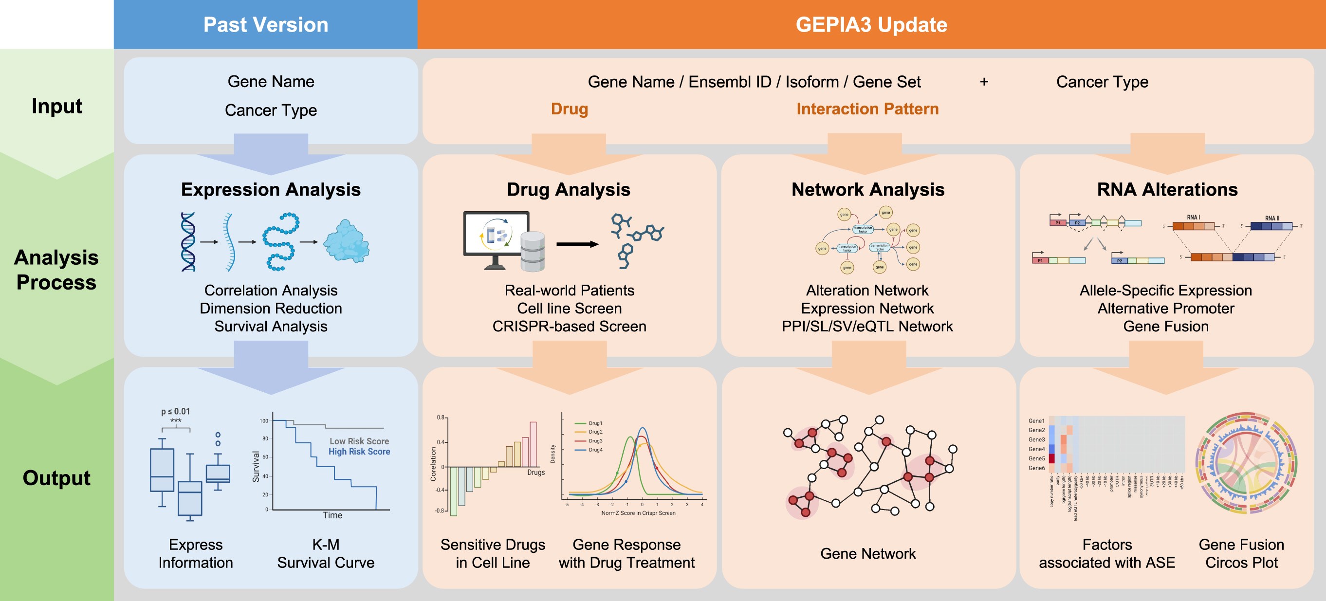 GEPIA3: Enhanced drug sensitivity and interaction network analysis for cancer research